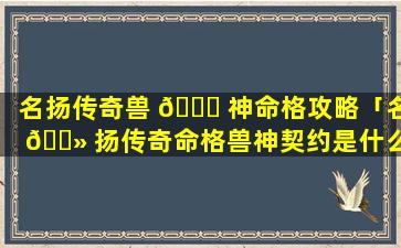 名扬传奇兽 🐞 神命格攻略「名 🌻 扬传奇命格兽神契约是什么属性」